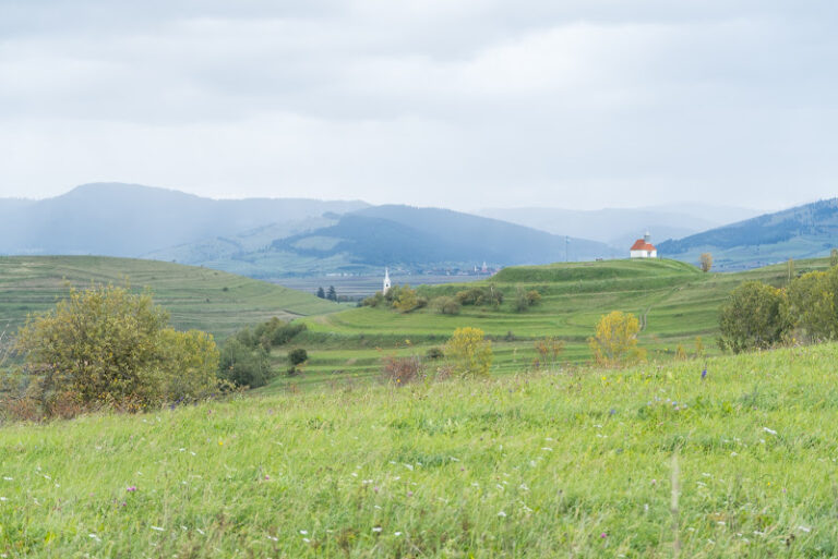 Vârful Harghita Mădăraș 2025: Ghid Complet pentru Drumeții, Schi și Cazare în Harghita Varful Harghita Madaras