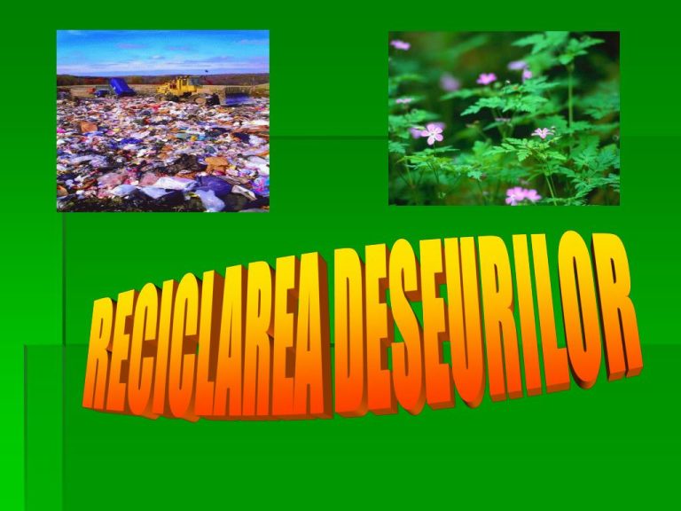 Importanța Reciclării în Protejarea Mediului: Soluții Sustenabile pentru Viitor