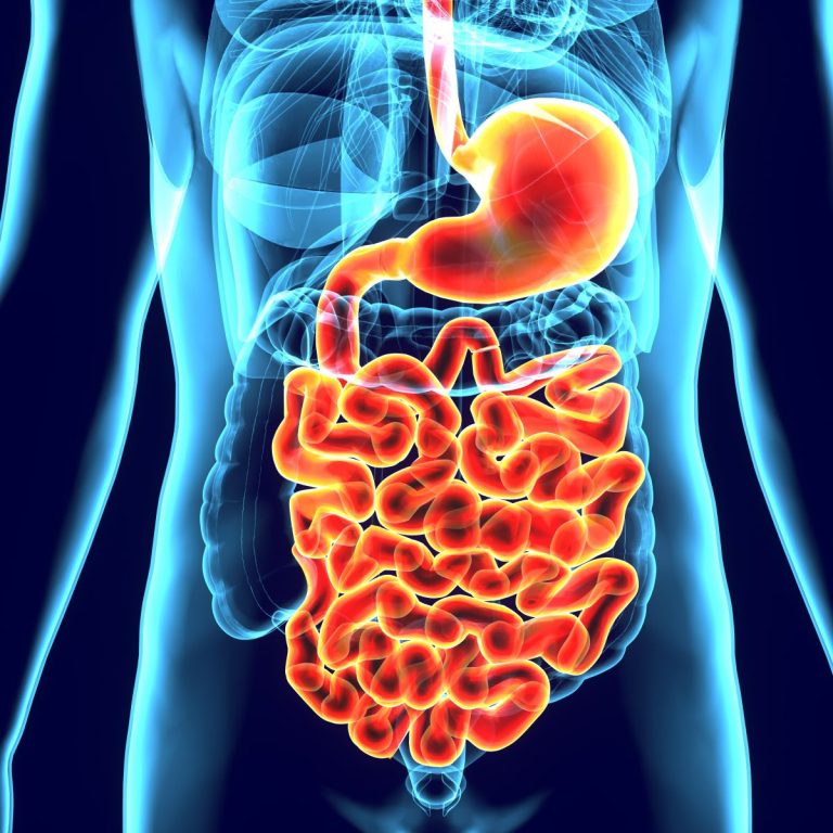 Previno afecțiuni digestive rapid și eficient