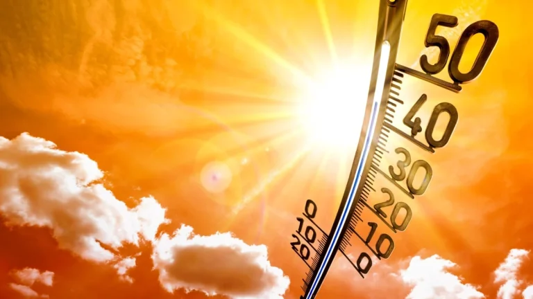 Impactul schimbărilor climatice asupra afacerilor